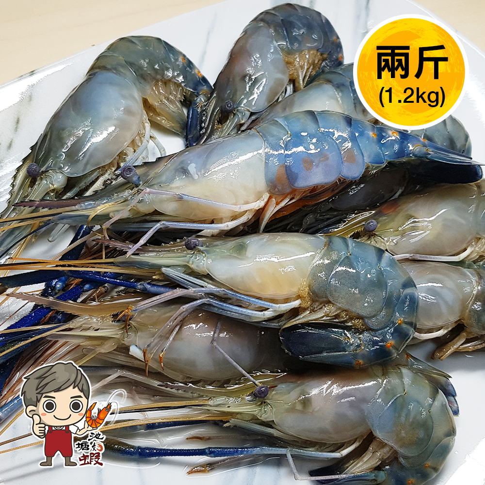 生態養殖 泰國蝦 淨重2台斤 (1.2公斤)