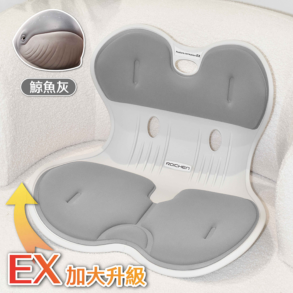 【Roichen】正脊坐墊EX（鯨魚灰）