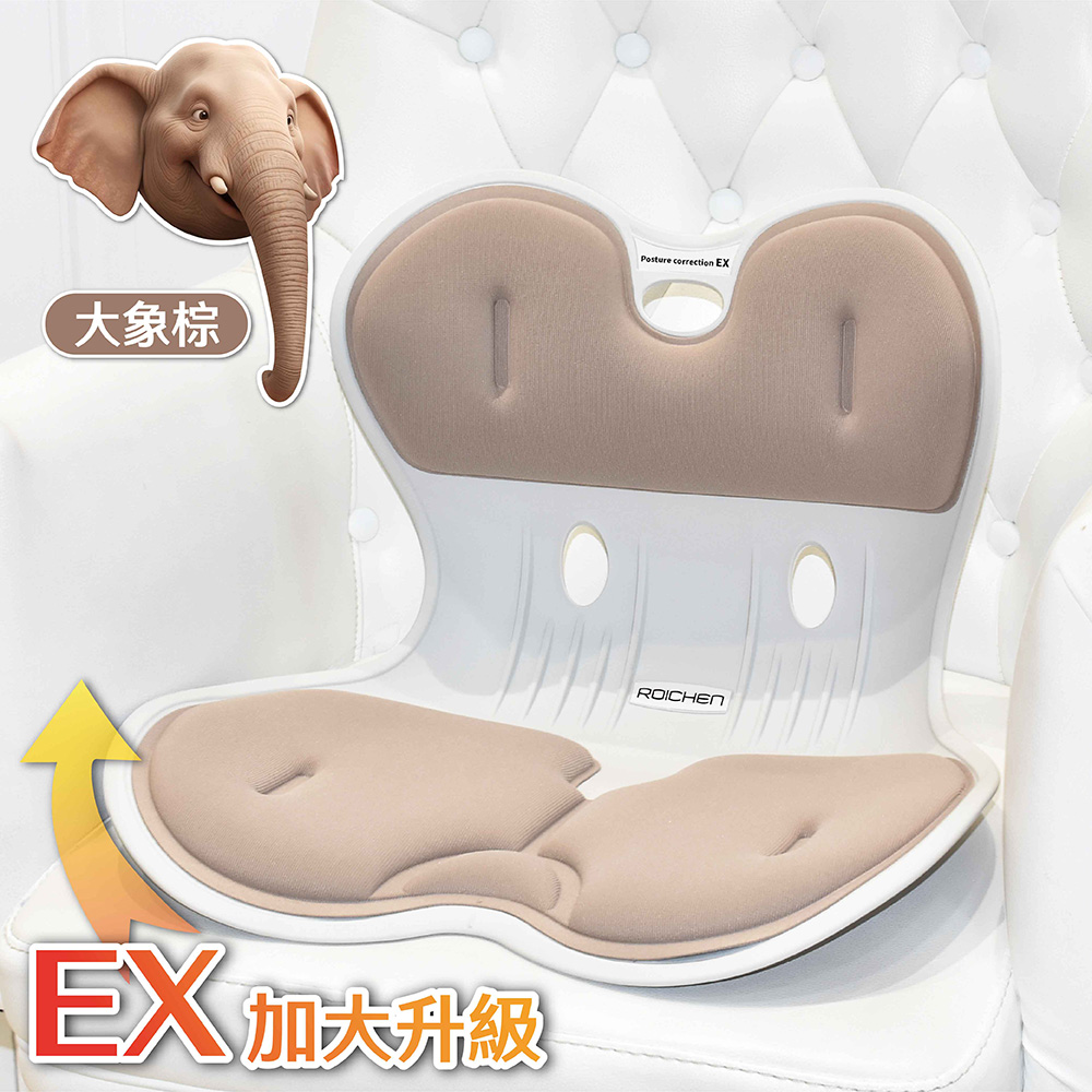 【Roichen】正脊坐墊EX（大象棕）